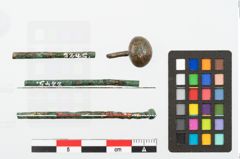 Foto von Bronzekugelkopfnadael (NHMW-PRAE-002245)